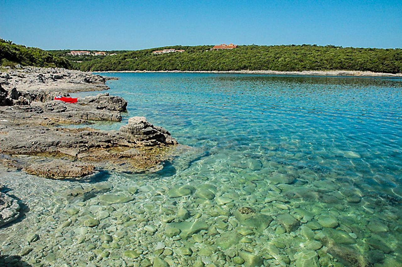 House Krizanic In Marcana, Istria, With 2 Apartments, Total 9 Guests エクステリア 写真