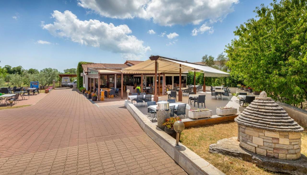 House Krizanic In Marcana, Istria, With 2 Apartments, Total 9 Guests エクステリア 写真